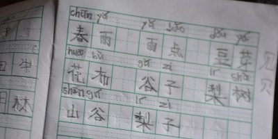 Sollte ich chinesische Schriftzeichen lernen? Thumbnail